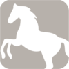 equine performance anxiety