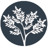 astragalus