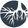 burdock root