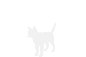 cats 6 15lbs 400x