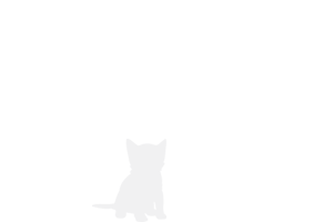 cats up to 5lbs 400x