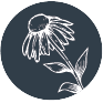 echinacea