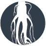 ginseng