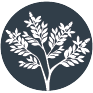 tulsi holy basil